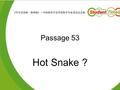 Passage 53 Hot Snake ?. What is the passage about? What kind of article is it?