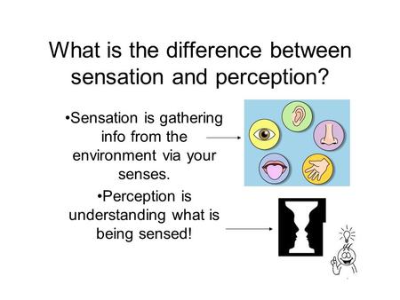 What is the difference between sensation and perception? Sensation is gathering info from the environment via your senses. Perception is understanding.