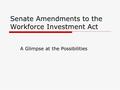 Senate Amendments to the Workforce Investment Act A Glimpse at the Possibilities.