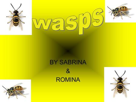 Wasps BY SABRINA & ROMINA.