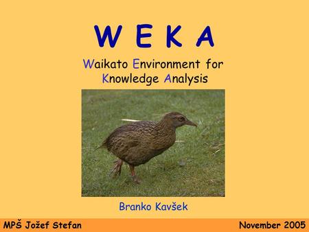 W E K A Waikato Environment for Knowledge Analysis Branko Kavšek MPŠ Jožef StefanNovember 2005.