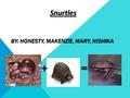 BY: HONESTY, MAKENZIE, MARY, NISHIKA += + = Snurtles.