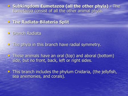 Subkingdom Eumetazoa (all the other phyla) - The Eumetazoa consist of all the other animal phyla. Subkingdom Eumetazoa (all the other phyla) - The Eumetazoa.