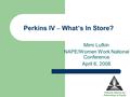 Perkins IV – What ’ s In Store? Mimi Lufkin NAPE/Women Work National Conference April 6, 2008 National Alliance for Partnerships in Equity.