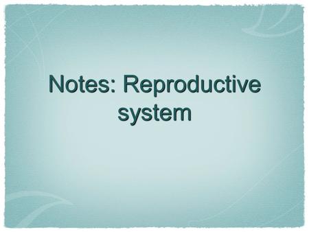 Notes: Reproductive system. Male Diagram OrganFunction A Prostate Gland Helps control flow of urine and produces proteins that make up part of semen A.