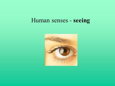 Human senses - seeing. Optic disc (blind spot) evidence A Hold picture in stretched arm in front of your eyes. Close your left eye and look at the left.