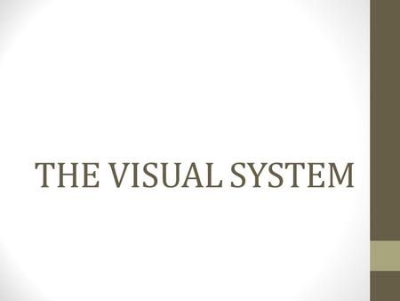 THE VISUAL SYSTEM. LIGHT Electromagnetic radiation that travels as a wave Amplitude = brightness Wavelength = color Varies in purity (richness of colors)