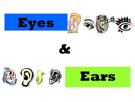 Eyes Ears &. The human eye Photons are packages of light energy that enter our eye through the pupil at the front.