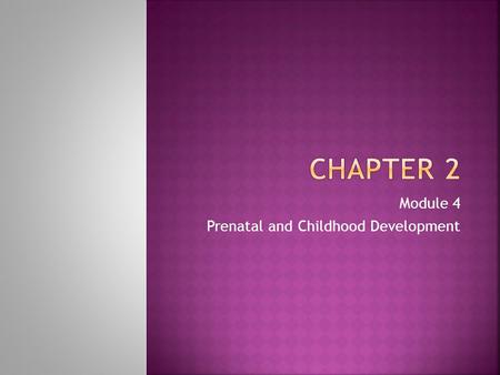 Module 4 Prenatal and Childhood Development.  Zygote: The fertilized egg; it enters a two- week period of rapid cell division and develops into an embryo.