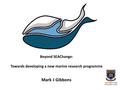 Beyond SEAChange: Towards developing a new marine research programme Mark J Gibbons.