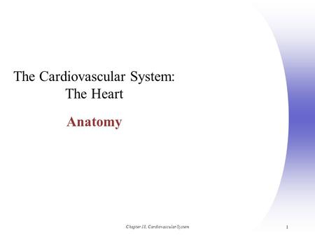 Chapter 18, Cardiovascular System 1 The Cardiovascular System: The Heart Anatomy.