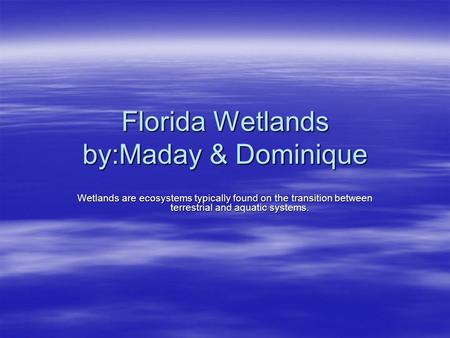 Florida Wetlands by:Maday & Dominique Wetlands are ecosystems typically found on the transition between terrestrial and aquatic systems.