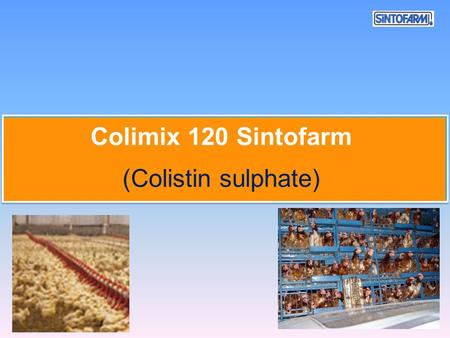 Colimix 120 Sintofarm (Colistin sulphate). Colistin is a polypeptide antibiotic, was obtained from a fermentation broth inoculated with Bacillus polimyxa.