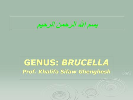 GENUS: BRUCELLA Prof. Khalifa Sifaw Ghenghesh بسم الله الرحمن الرحيم.