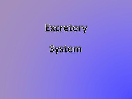 Major Functions The Excretory System is responsible for the removal of various wastes and fluids. It also gets rid of poisonous chemicals.