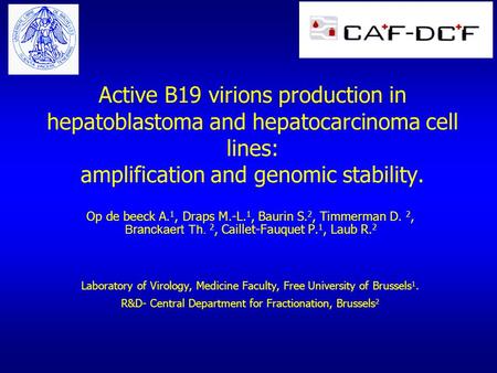 Active B19 virions production in hepatoblastoma and hepatocarcinoma cell lines: amplification and genomic stability. Op de beeck A. 1, Draps M.-L. 1, Baurin.