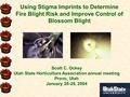 Using Stigma Imprints to Determine Fire Blight Risk and Improve Control of Blossom Blight Scott C. Ockey Utah State Horticulture Association annual meeting.