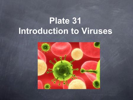 Plate 31 Introduction to Viruses. Smallpox Chickenpox Influenza (“the flu”) Herpes Polio Rabies Ebola Human Papillomavirus (HPV) Human Immunodeficiency.