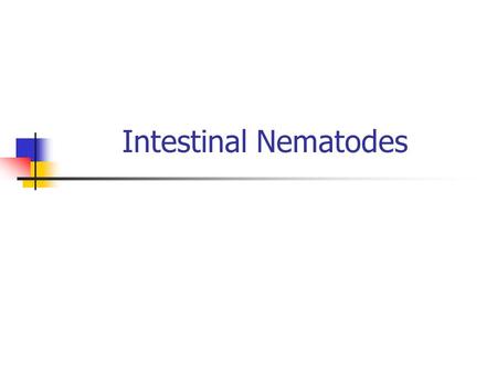 Intestinal Nematodes.