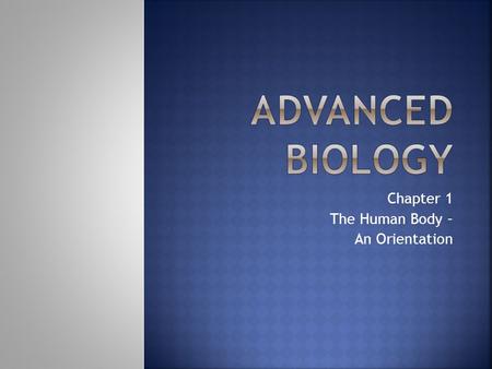 Chapter 1 The Human Body – An Orientation.  Anatomy – Study of structure  Can be seen, felt and examined  Physiology – Function of body  How does.