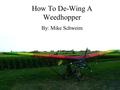 How To De-Wing A Weedhopper By: Mike Schweim. Remove wing ribs, starting from the wingtips;