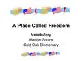 A Place Called Freedom Vocabulary Marilyn Souza Gold Oak Elementary.