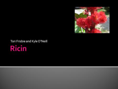 Tori Frisbie and Kyle O’Neill.  It is a cytotoxin protein found in castor beans  It is produced as powders, mists, or pellets from processing castor.