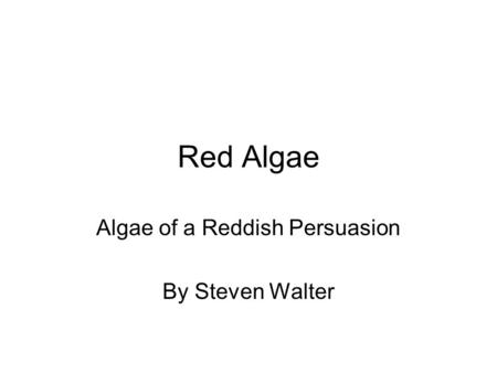 Red Algae Algae of a Reddish Persuasion By Steven Walter.