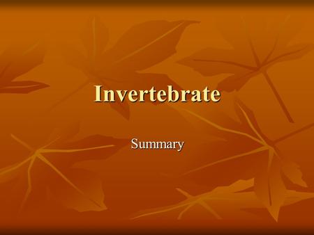 Invertebrate Summary. Phylum Porifera Sponges are classified as animals because they are multicellular, heterotrophic, have no cell walls, and contain.