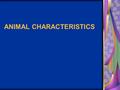 ANIMAL CHARACTERISTICS. Multicellular Sexual Reproduction (usually) Develop from an embryo.