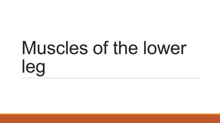 Muscles of the lower leg. Muscles to know for practical 2/25 PeroneusGastrocnemiusBiceps femorisSemimembranosus Achille’s tendonFlexor digitorum longisGracillisTensor.