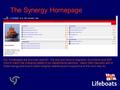 The Synergy Homepage Our homepages are end-user specific. We add and remove diagrams, documents and SAP links to match the changing needs of our departments.