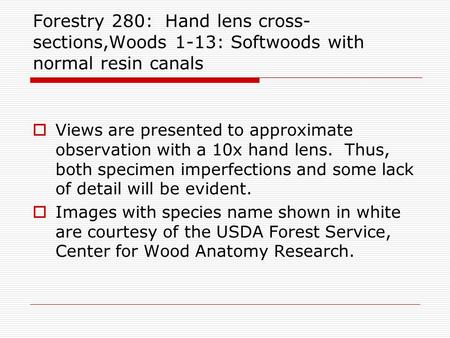 Forestry 280: Hand lens cross- sections,Woods 1-13: Softwoods with normal resin canals  Views are presented to approximate observation with a 10x hand.