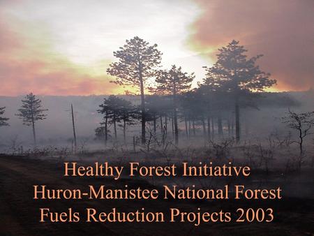 Healthy Forest Initiative Huron-Manistee National Forest Fuels Reduction Projects 2003.