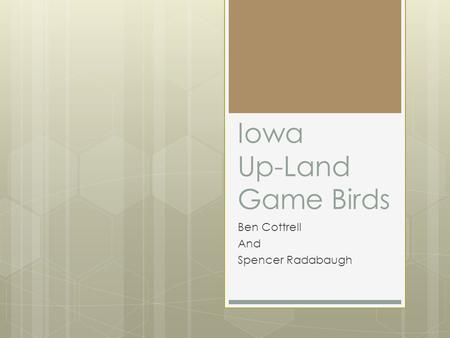 Iowa Up-Land Game Birds Ben Cottrell And Spencer Radabaugh.