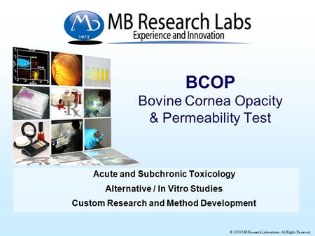 © 2009 MB Research Laboratories. All Rights Reserved. Acute and Subchronic Toxicology Alternative / In Vitro Studies Custom Research and Method Development.