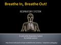 A Look at the Respiratory System By Jedidah Jackson