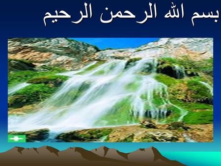 بسم الله الرحمن الرحیم. Sarcocystis: Sarcocystis 1-These organisms are parasites of carnivorous definitive hosts (dogs, specifically) and herbivorous.