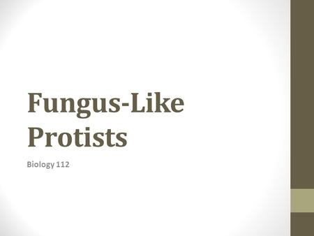 Fungus-Like Protists Biology 112. General Characteristics Similar to fungi in that they are heterotrophs that absorb food from dead or decaying organic.