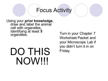 Focus Activity Using your prior knowledge, draw and label the animal cell with organelles, identifying at least 5 organelles. DO THIS NOW!!! Turn in your.