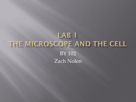 BY 102 Zach Nolen.  I’m a Master’s student in the Thacker lab  Studying sponge/cyanobacteria relationships  Teaching Portfolio Teaching Portfolio.