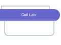 Cell Lab. Makeup Microscope Procedure ●Using the information on the following slides to answer all questions on your microscope lab paper ●Use the images.