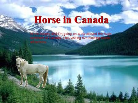 Horse in Canada Hi I’m horsey and I’m going on a trip around the huge continent of Canada. I am visiting five exciting tourist attractions.