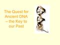 The Quest for Ancient DNA – the Key to our Past. DNA Technology and Fossils Ancient DNA is analyzed from: –Mummies –Organisms preserved in amber –Plant.