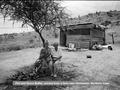 NKUZI DEVELOPMENT ASSOCIATION Piet and Grace Buffel, evicted from a farm near Hartswater, Northern Cape.