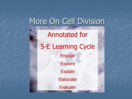 More On Cell Division Annotated for 5-E Learning Cycle Engage Explore Explain Elaborate Evaluate.