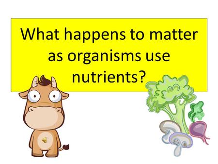 What happens to matter as organisms use nutrients?