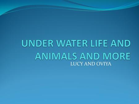 LUCY AND OVIYA. TABLE OF CONTENTS Mammals Page 1 Amazing creatures Page 2 Sea turtles Page 3 Plants Page 4 Index Page 5 Glossary Page 6.