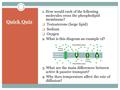 Quick Quiz 1. How would each of the following molecules cross the phospholipid membrane?  Testosterone (large lipid)  Sodium  Oxygen 2. What is this.