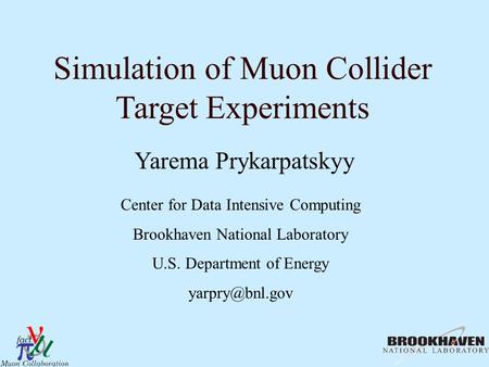 Simulation of Muon Collider Target Experiments Yarema Prykarpatskyy Center for Data Intensive Computing Brookhaven National Laboratory U.S. Department.